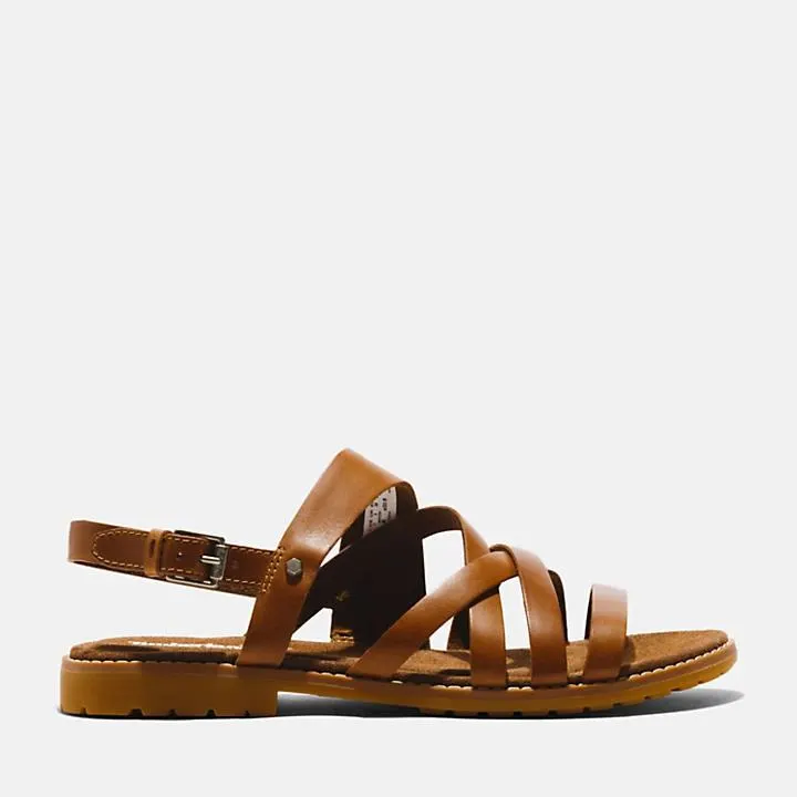 Chicago Riverside Backstrap Sandal for Women in Brown