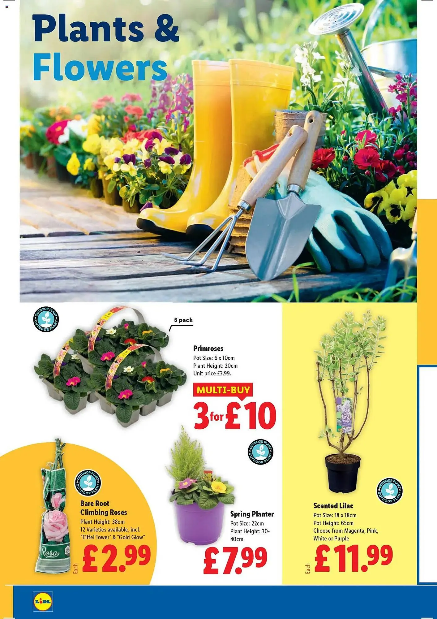 Lidl leaflet from 26 February to 4 March 2026 - Catalogue Page 22