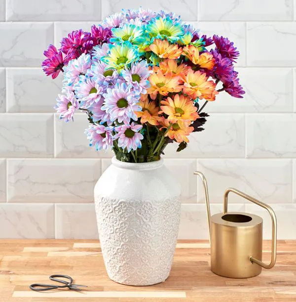 The Rainbow Chrysanthemums Bouquet