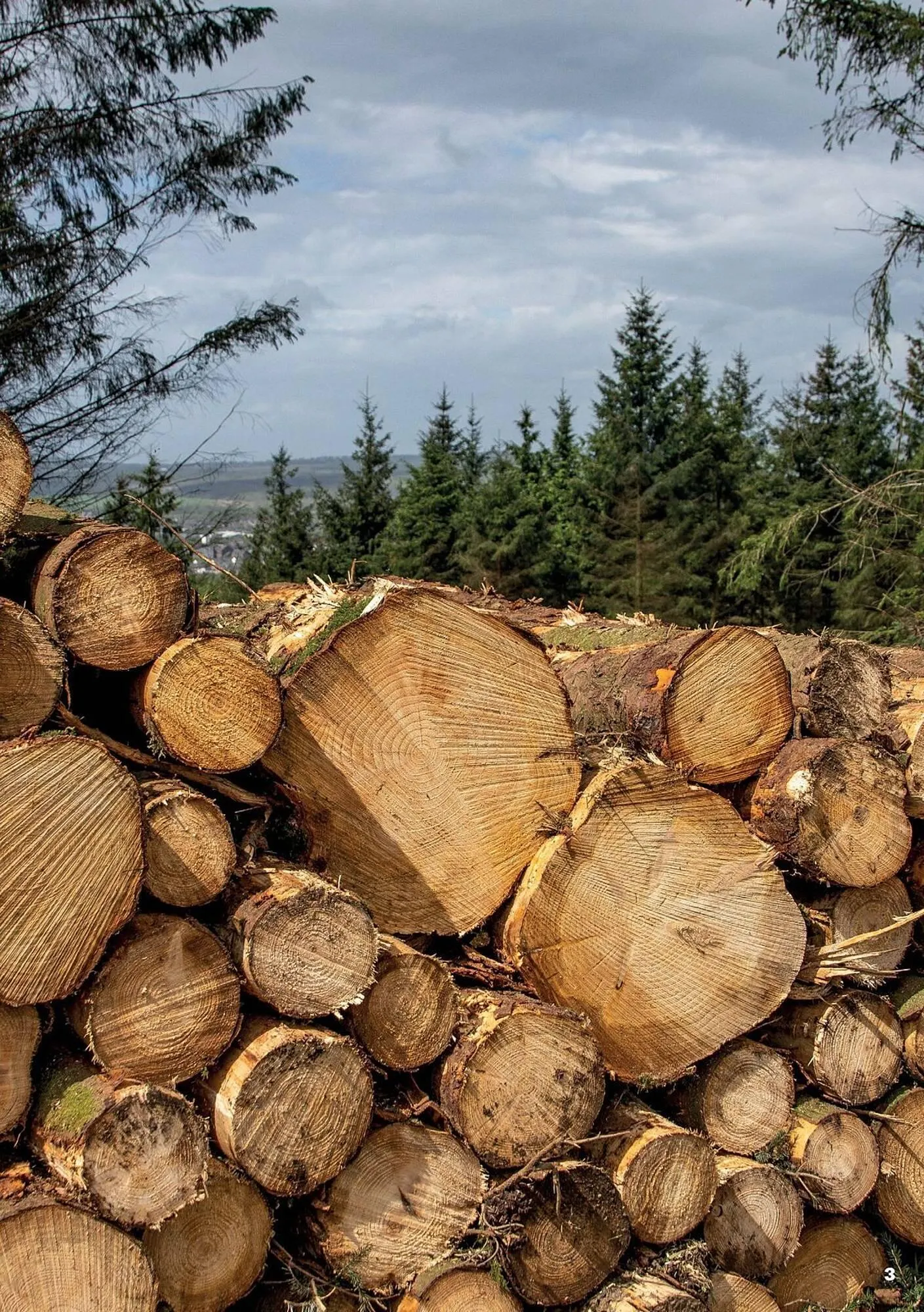 Jewson catalogue from 1 January to 31 December 2027 - Catalogue Page 3