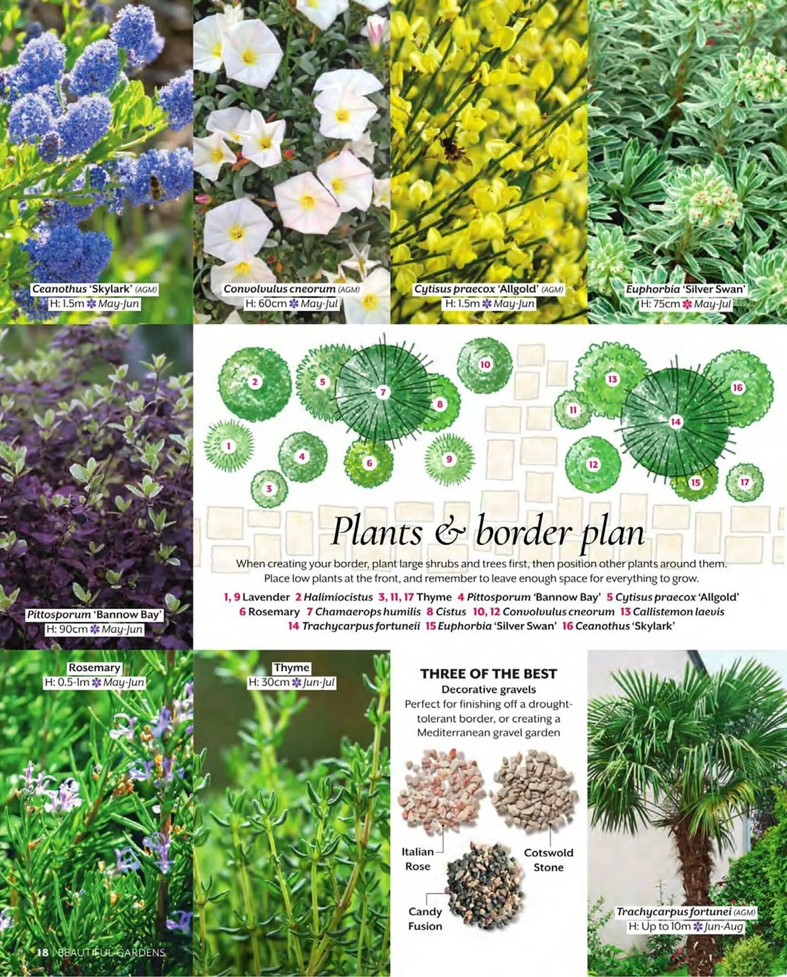 Squires Garden Centres leaflet from 1 March to 31 May 2024 - Catalogue Page 18