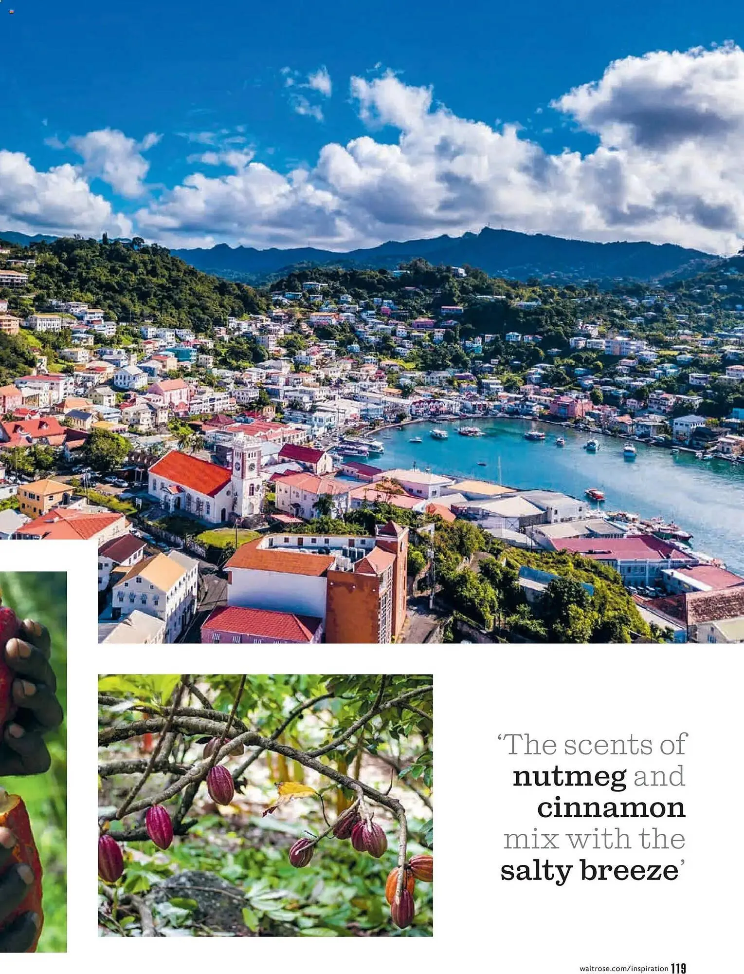 Waitrose catalogue from 1 January to 1 February 2026 - Catalogue Page 119