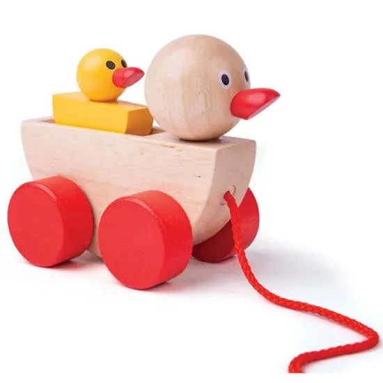 Duck & Duckling Pull-Along