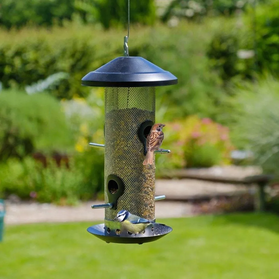 Stainless steel seed feeder