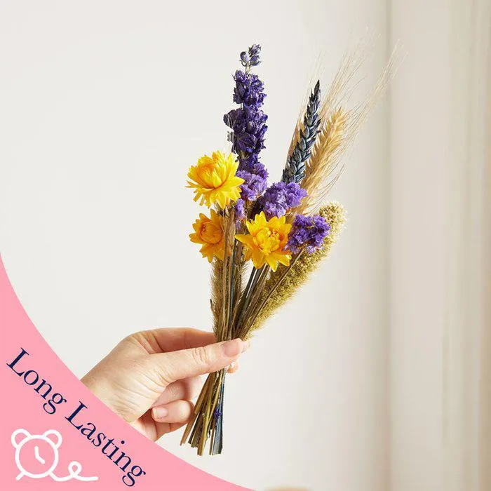 The Mini Dried Tropical Storm