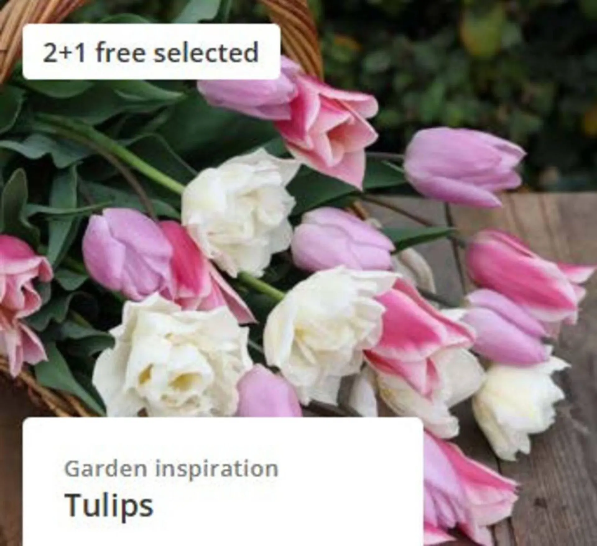 Crocus leaflet from 29 August to 4 September 2025 - Catalogue Page 2