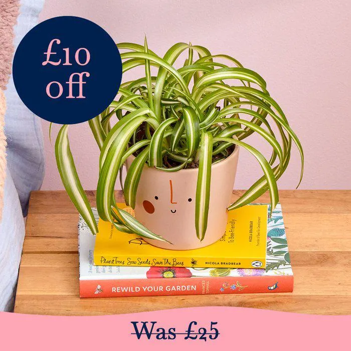 Perfect for Plant Newbies