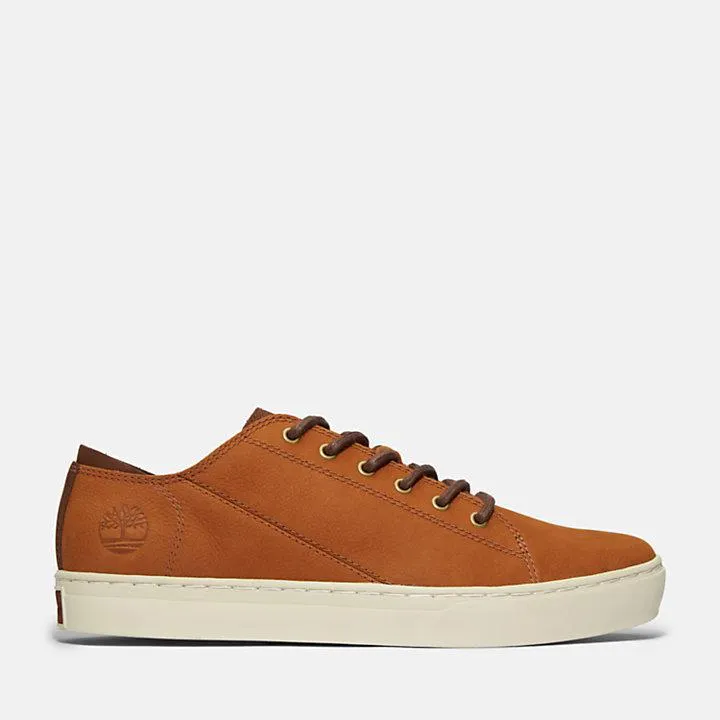 Adventure 2.0 Trainer for Men in Brown