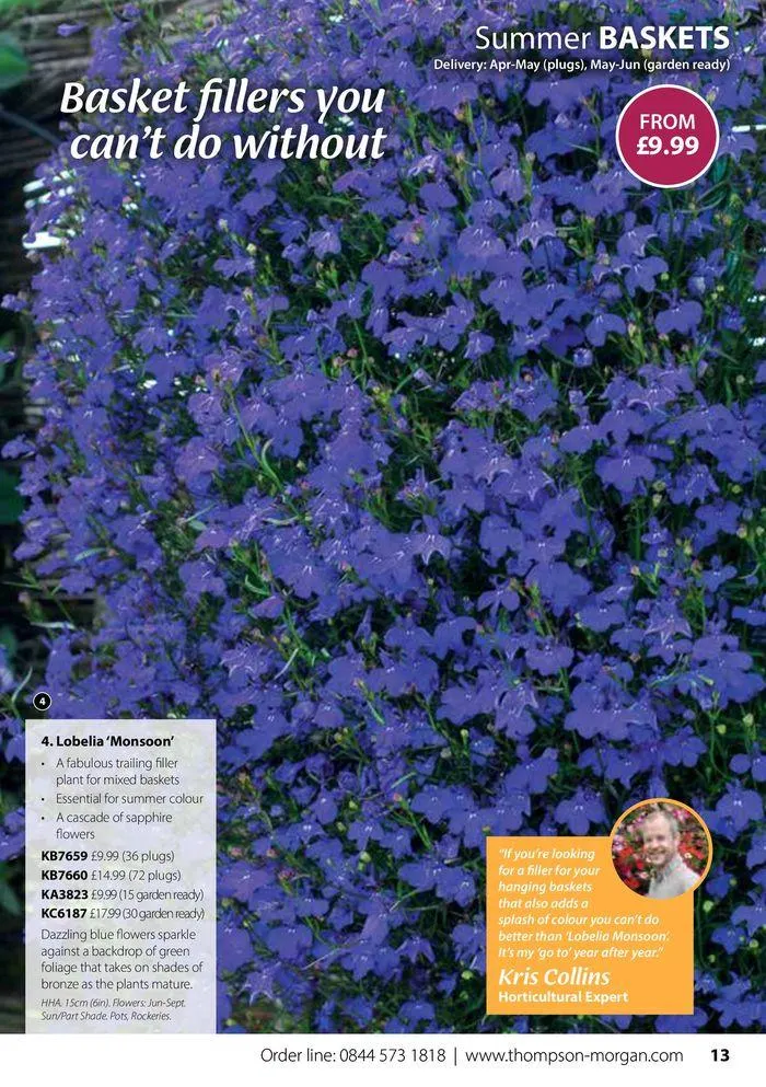 Spring Sale Catalogue from 2 May to 31 May 2024 - Catalogue Page 13