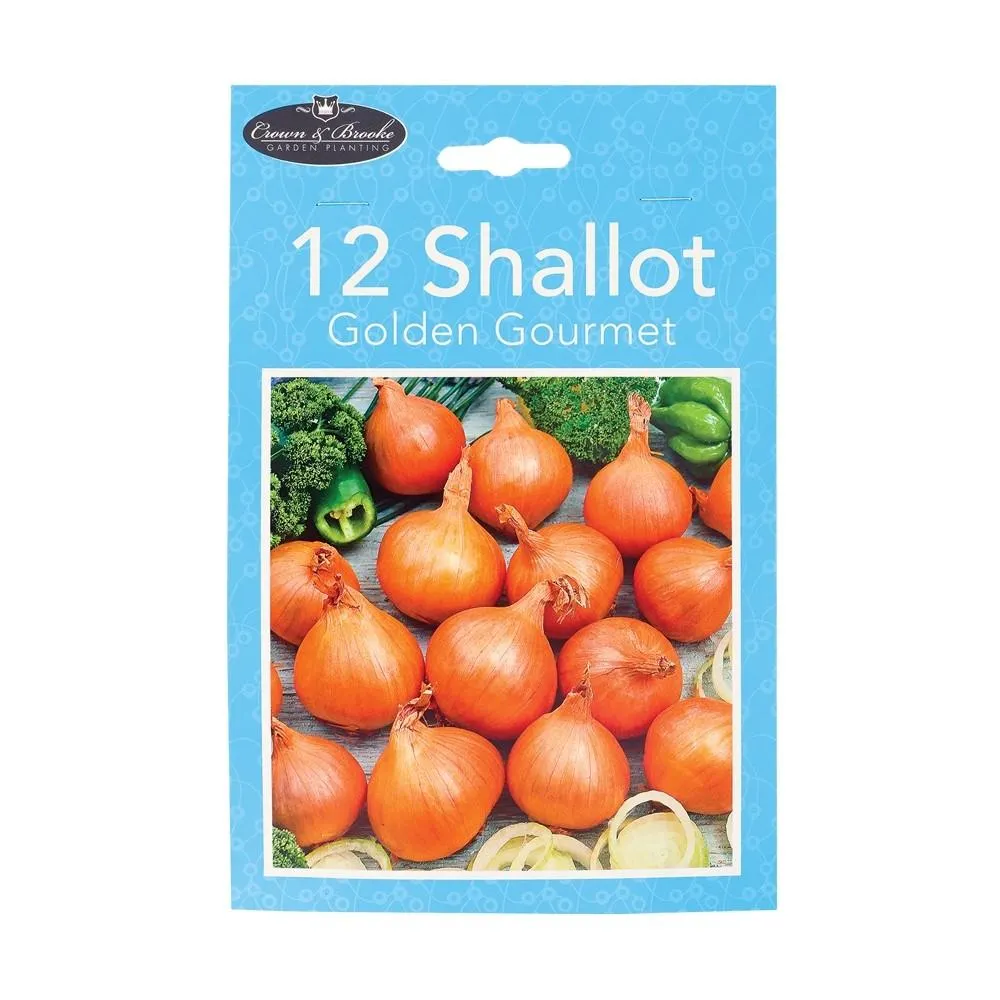 VEGETABLE SEEDS - SHALLOTS