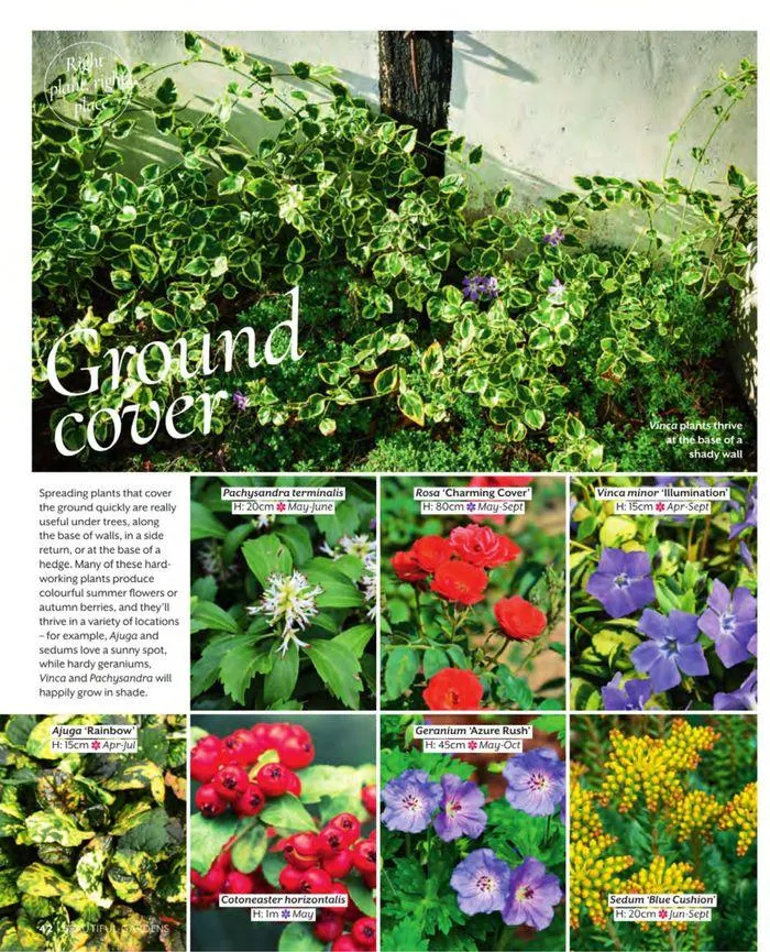 Spring 2024 from 11 March to 31 May 2024 - Catalogue Page 42