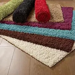 Shaggy Rug