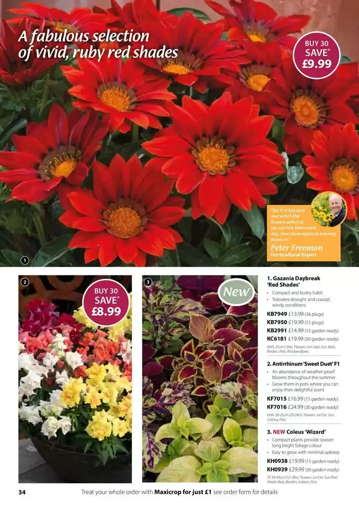 The Spring Catalogue from 20 March to 31 May 2025 - Catalogue Page 34