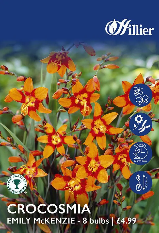 Crocosmia Emily Mckenzie Bulbs