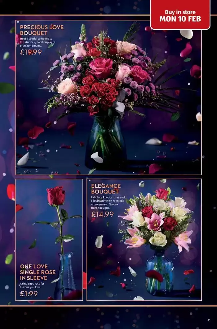 Aldi weekly offers from 15 February to 1 March 2025 - Catalogue Page 17