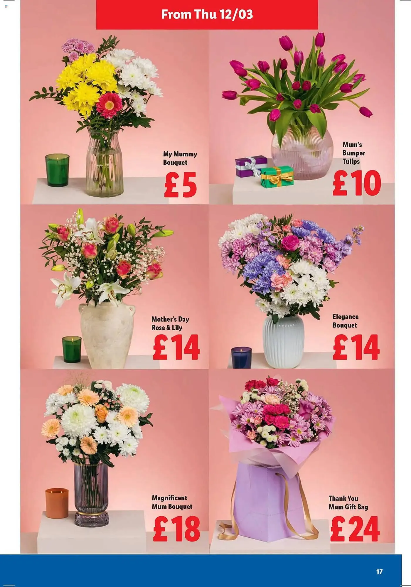 Lidl leaflet from 12 March to 19 March 2026 - Catalogue Page 17