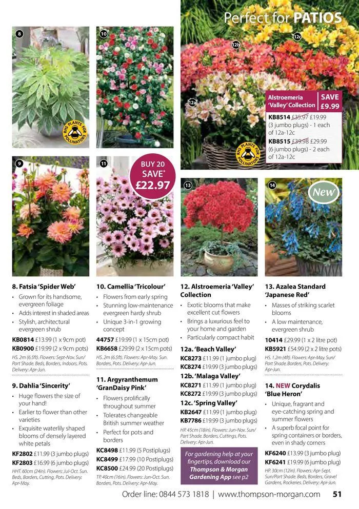 Spring Sale Catalogue from 2 May to 31 May 2024 - Catalogue Page 51