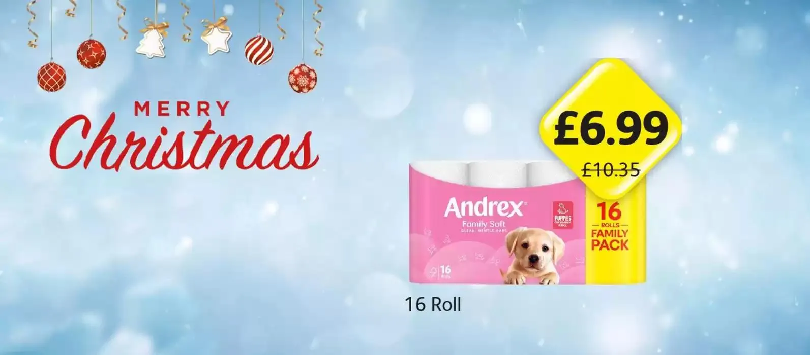 Merry Christmas from 27 December to 31 December 2024 - Catalogue Page 6