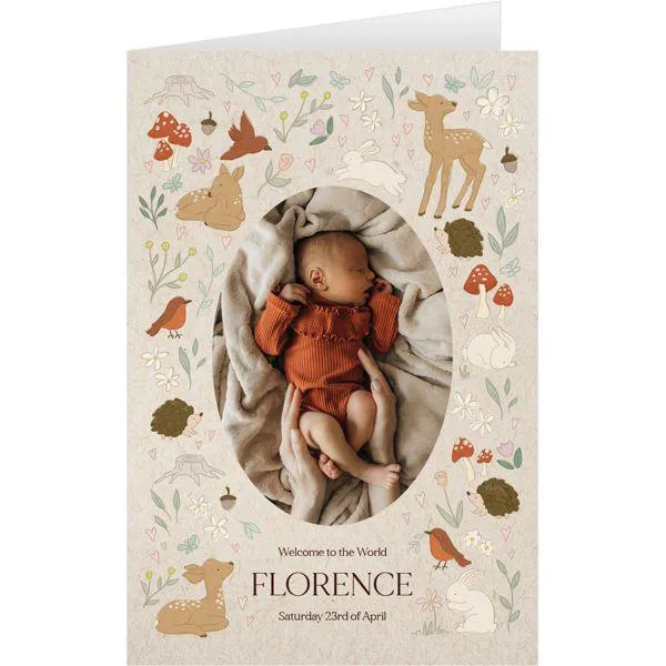 Cute animal illustrations