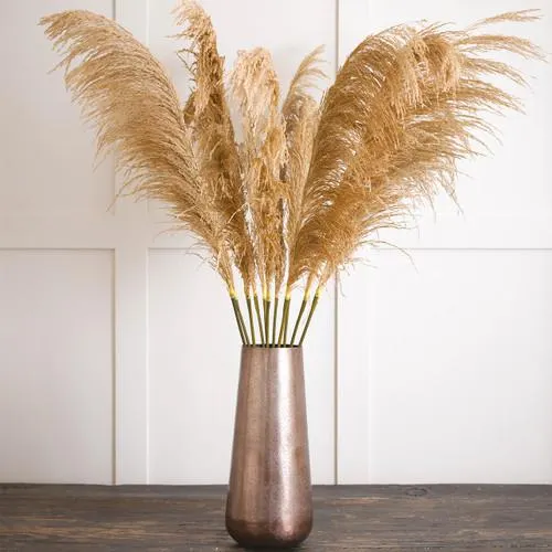Pampas Grass Stem