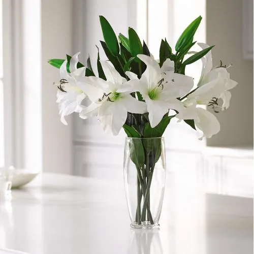 Six White Casablanca Lilies