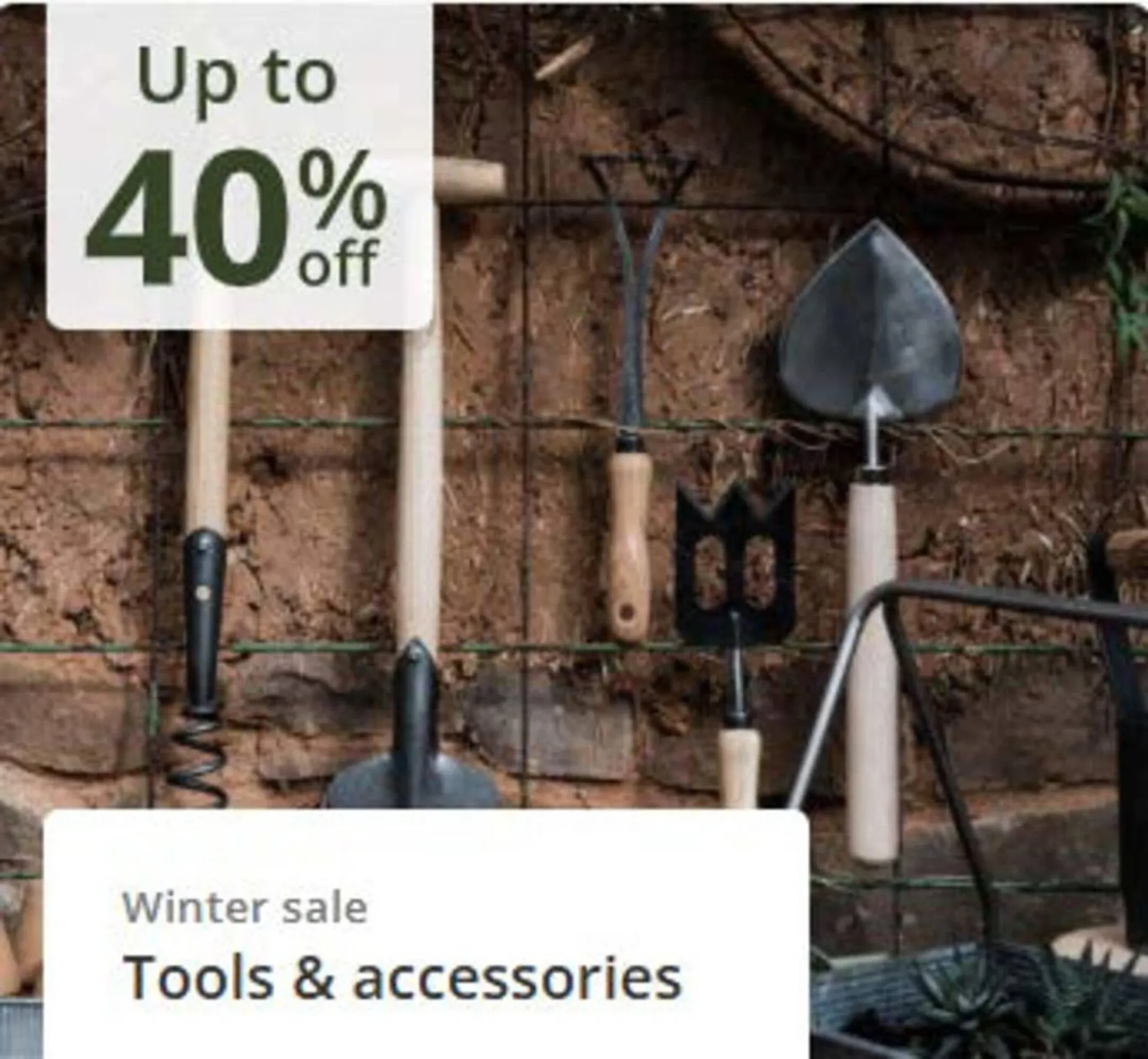 Crocus leaflet from 24 December to 8 January 2026 - Catalogue Page 6