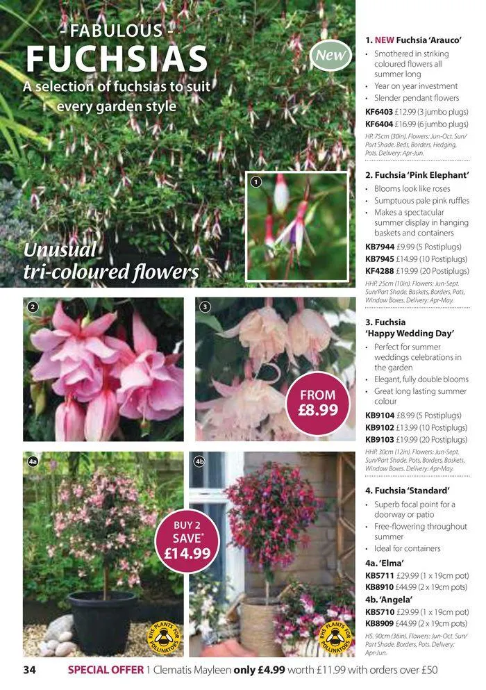 Spring Sale Catalogue from 2 May to 31 May 2024 - Catalogue Page 34
