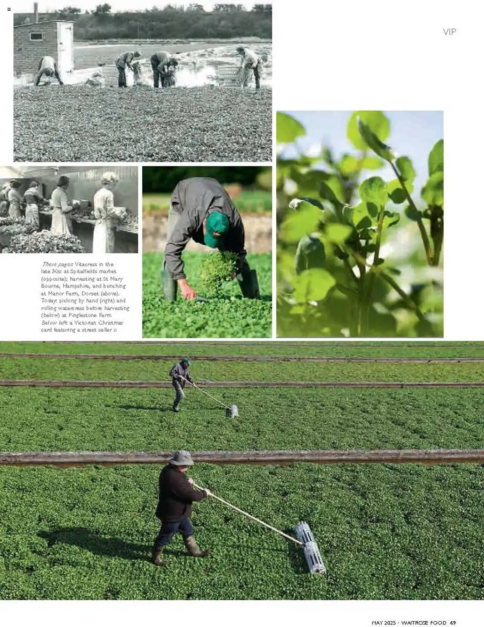 Waitrose leaflet from 1 May to 31 May 2025 - Catalogue Page 69