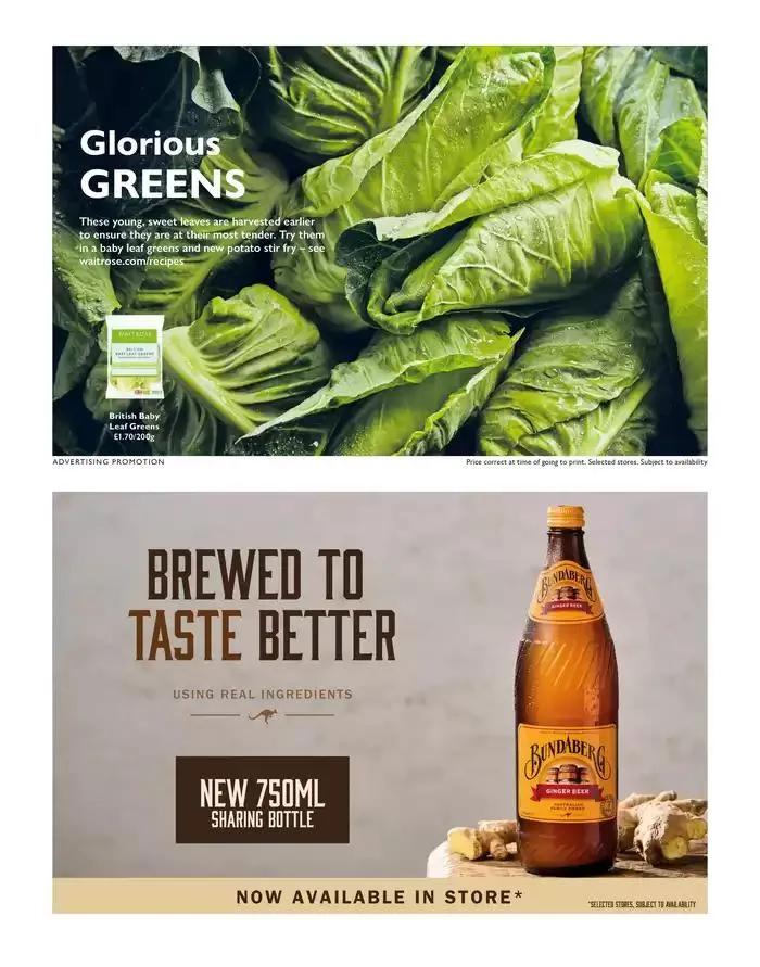 The Main Event from 14 November to 25 December 2024 - Catalogue Page 14