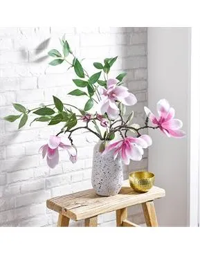 Mellow Magnolia Collection