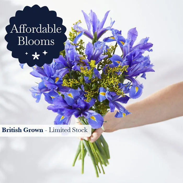 British Iris Letterbox