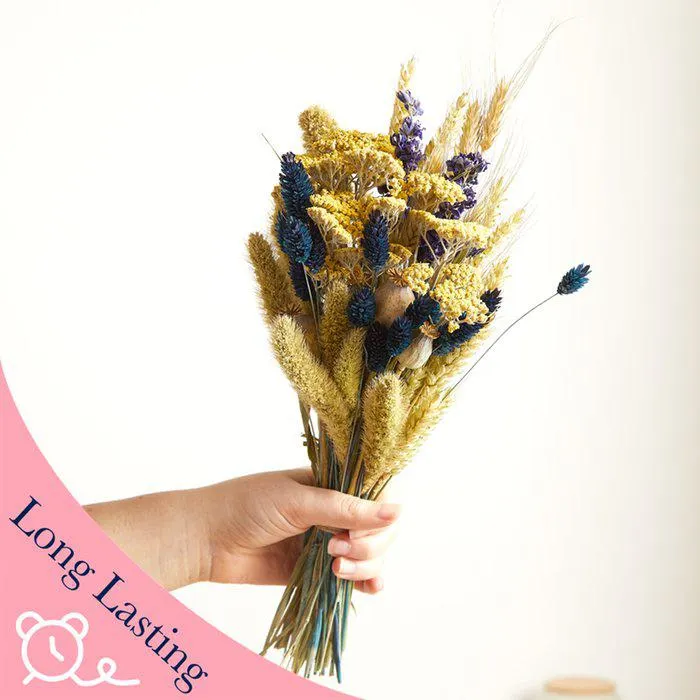 The Dried Native Hedgerow