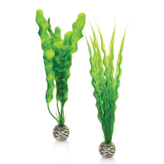 BiOrb Easy Plant Green X 2 Medium
