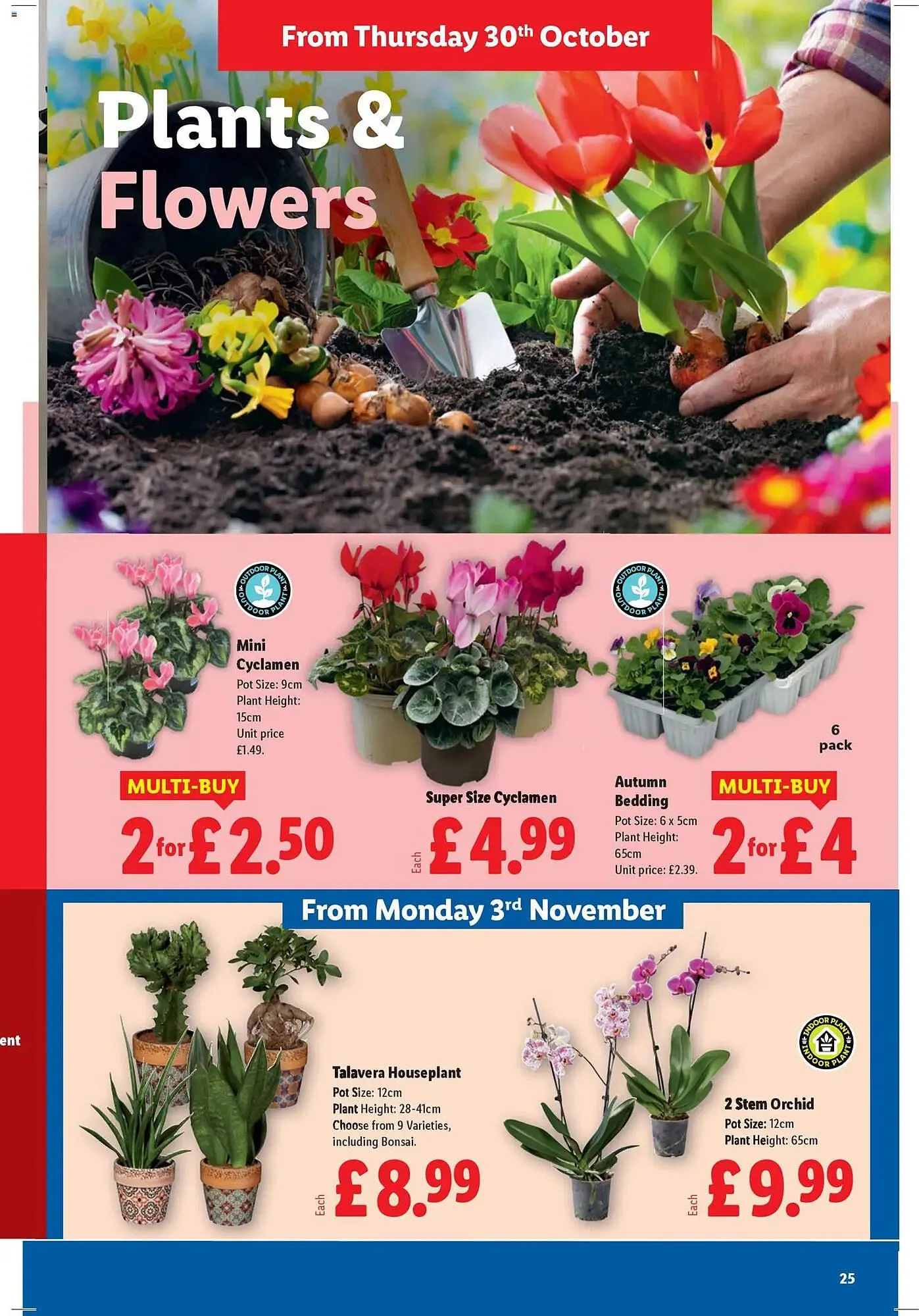 Lidl leaflet from 30 October to 5 November 2025 - Catalogue Page 25