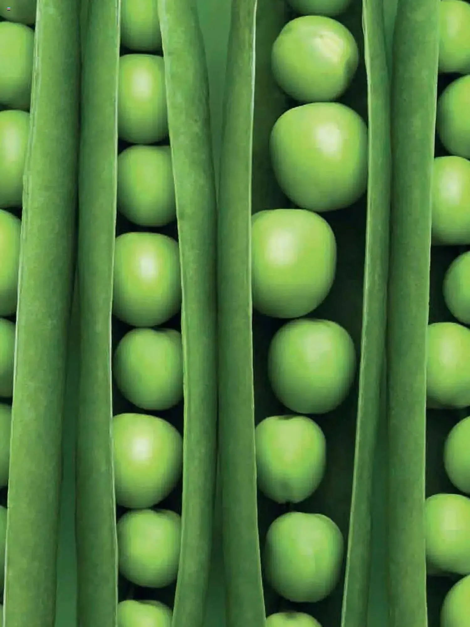 Waitrose leaflet from 1 May to 31 May 2025 - Catalogue Page 110