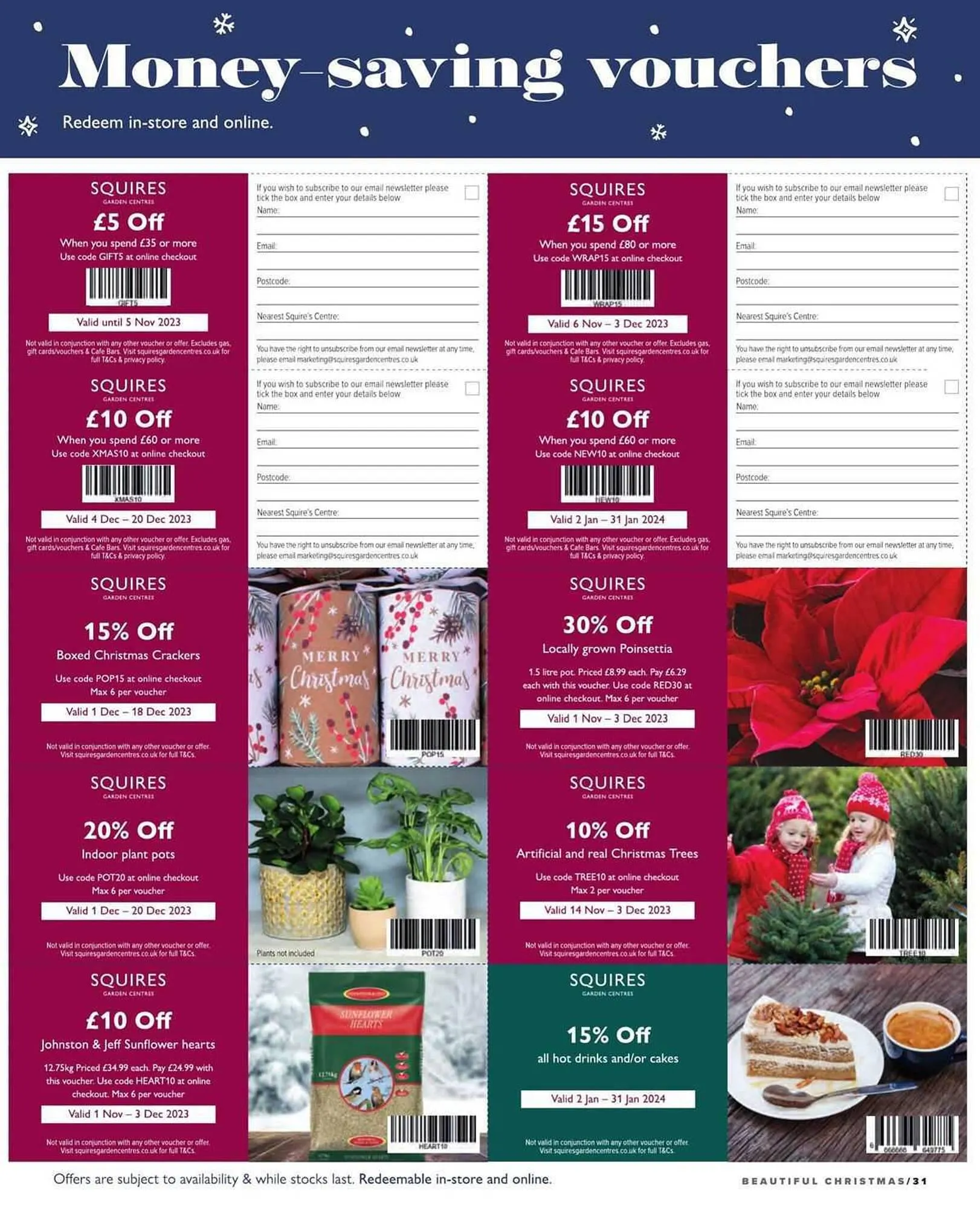 Squires Garden Centres leaflet from 26 October to 24 December 2023 - Catalogue Page 31