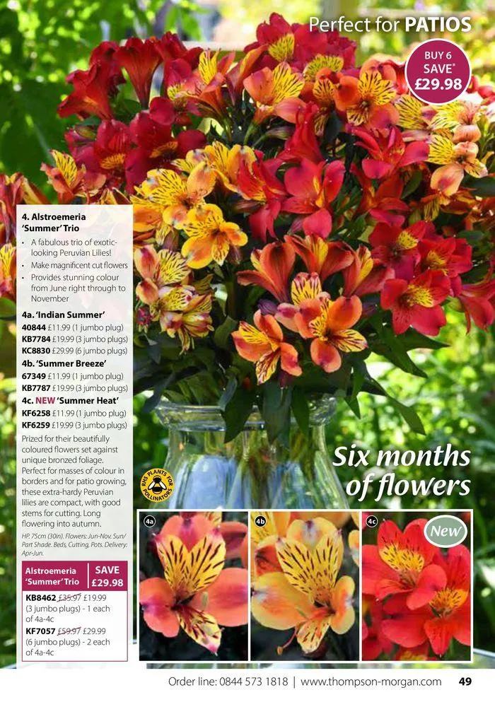 Spring Sale Catalogue from 2 May to 31 May 2024 - Catalogue Page 49