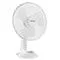Lewis's 12 Inch Tabletop Desk Fan - White