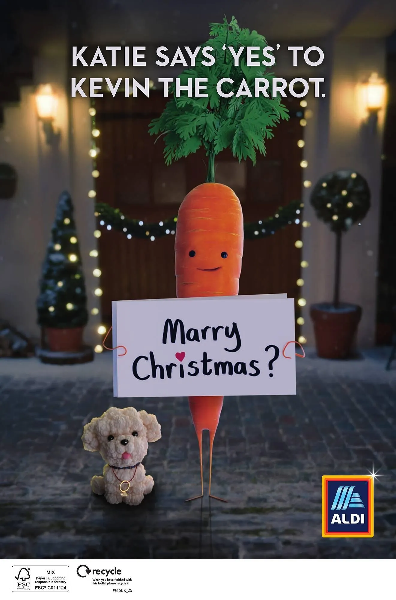 Aldi leaflet from 13 November to 17 November 2025 - Catalogue Page 38