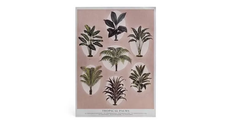 Habitat Botanical Print Unframed Wall Art - A4