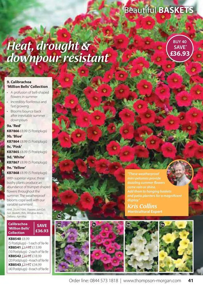 Spring Sale Catalogue from 2 May to 31 May 2024 - Catalogue Page 41