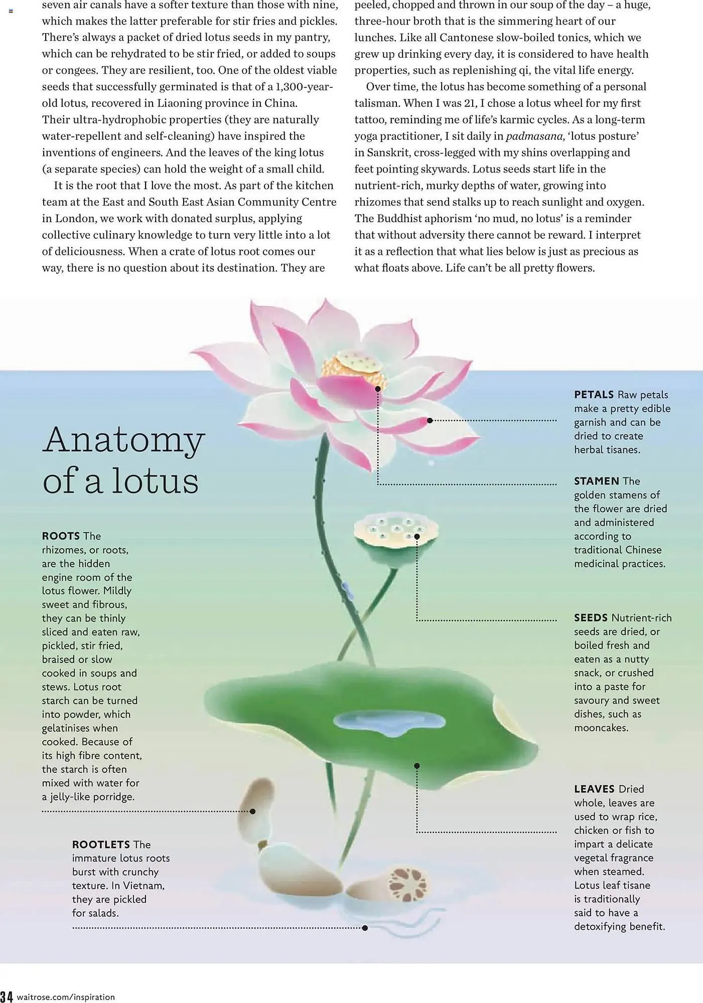 Waitrose catalogue from 1 January to 1 February 2026 - Catalogue Page 34