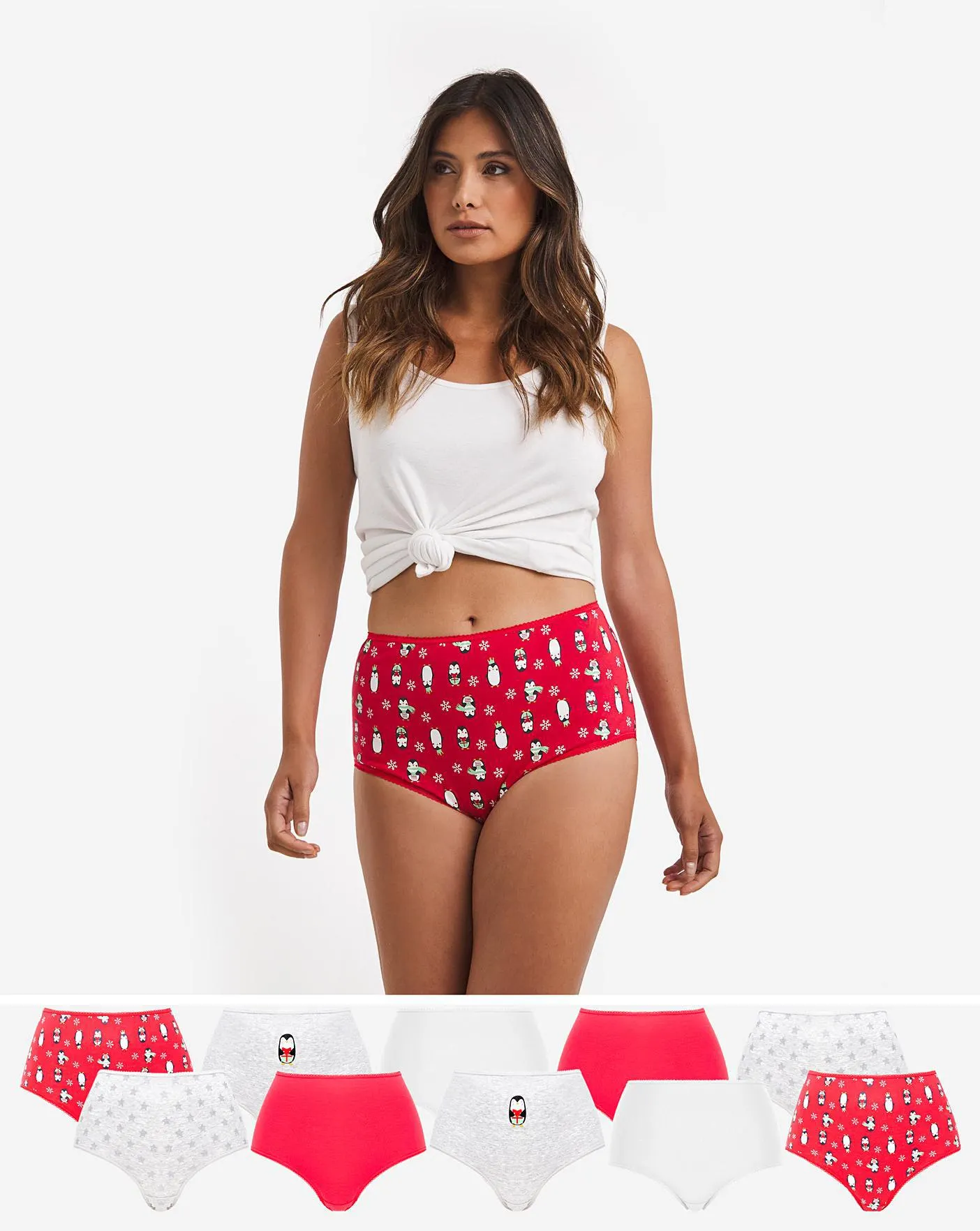 Pretty Secrets 10 Pack Christmas Penguin Full Briefs