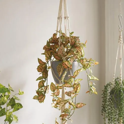 Polka Dot Hanging Basket