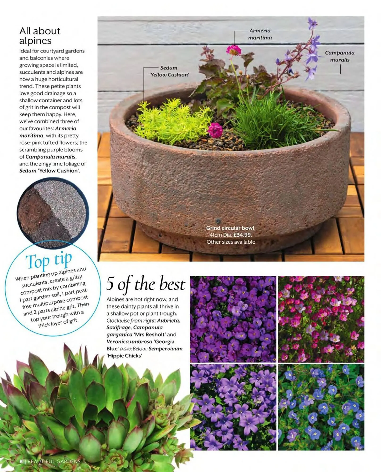 Squires Garden Centres leaflet from 1 March to 31 May 2024 - Catalogue Page 8