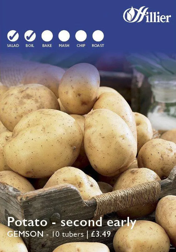 Gemson Seed Potatoes