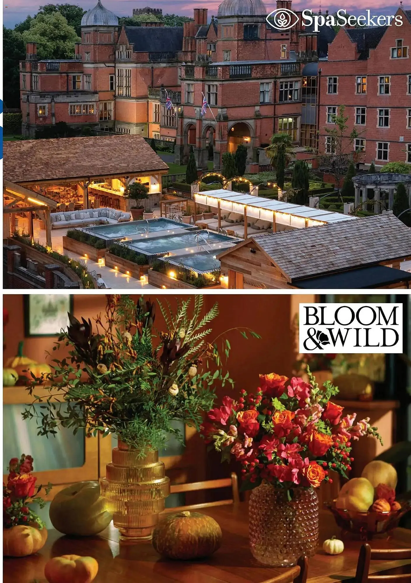 Tesco leaflet from 29 October to 1 February 2026 - Catalogue Page 15