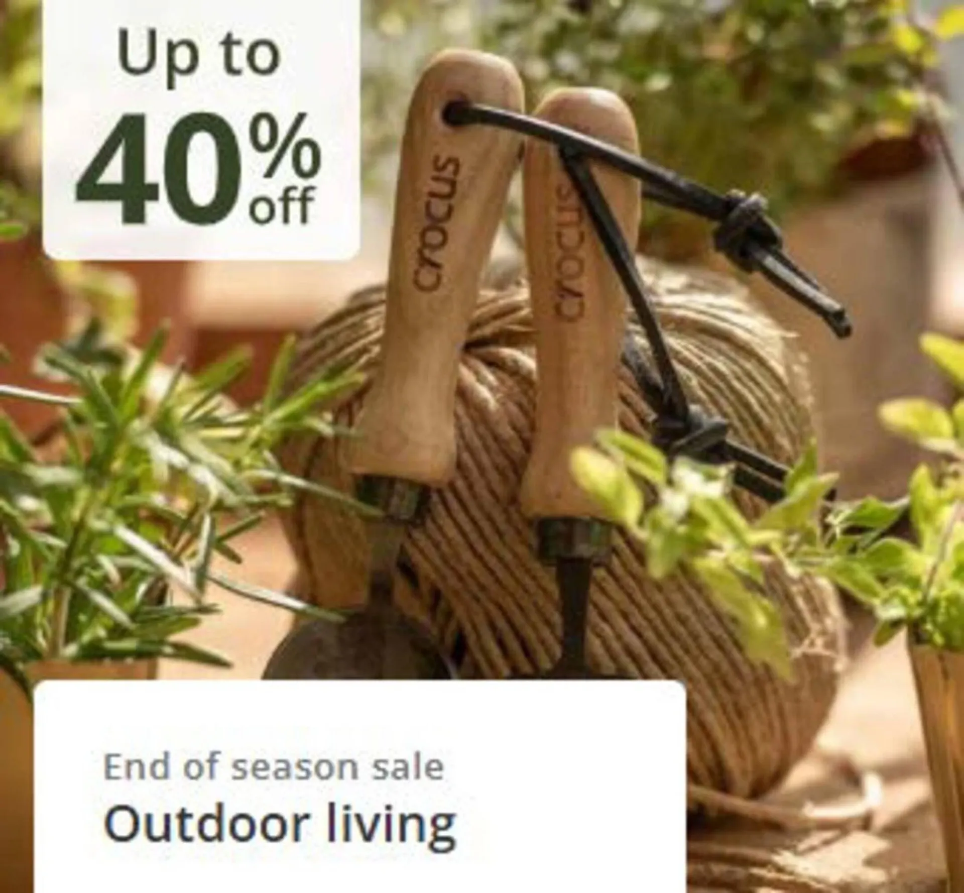 Crocus leaflet from 21 October to 8 November 2025 - Catalogue Page 6