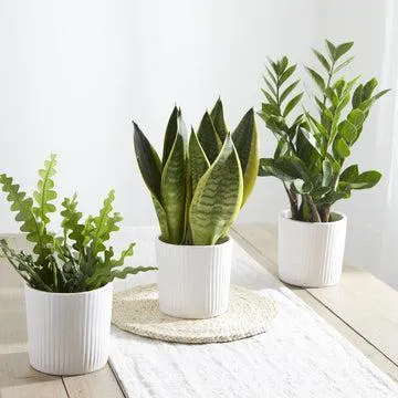 Easy-care ribbed pot trio