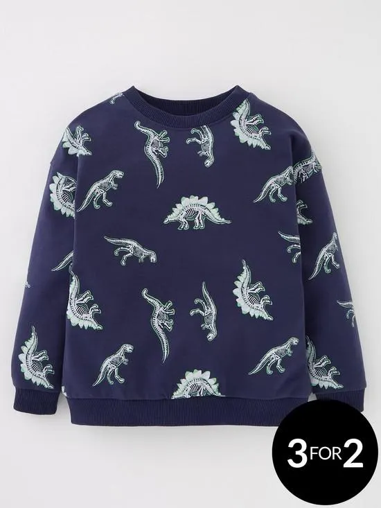 Boys Dino Print Sweat Top